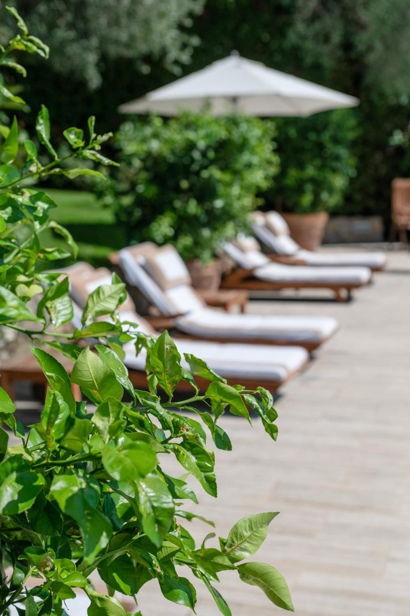 Villa Eden Forte Dei Marmi With Private Infinity Pool Santa Lucia  Extérieur photo