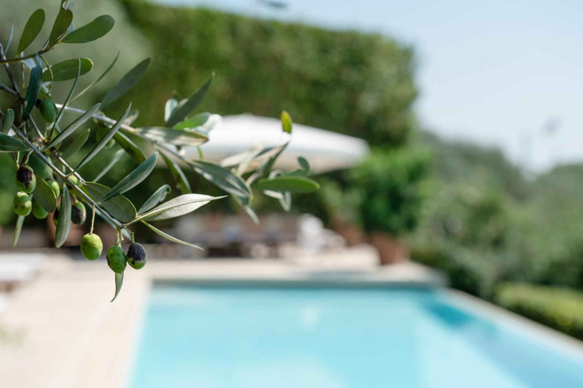 Villa Eden Forte Dei Marmi With Private Infinity Pool Santa Lucia  Extérieur photo
